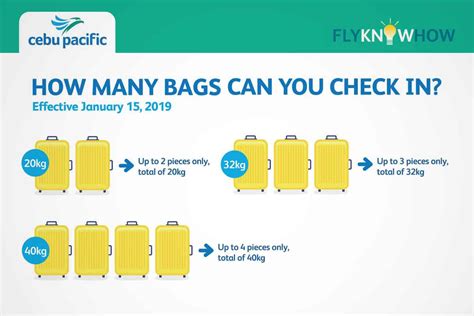 philippine airlines buy baggage allowance.